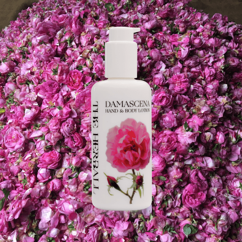 A white bottle of hand and body lotion and rosa damascena flowers in the background.